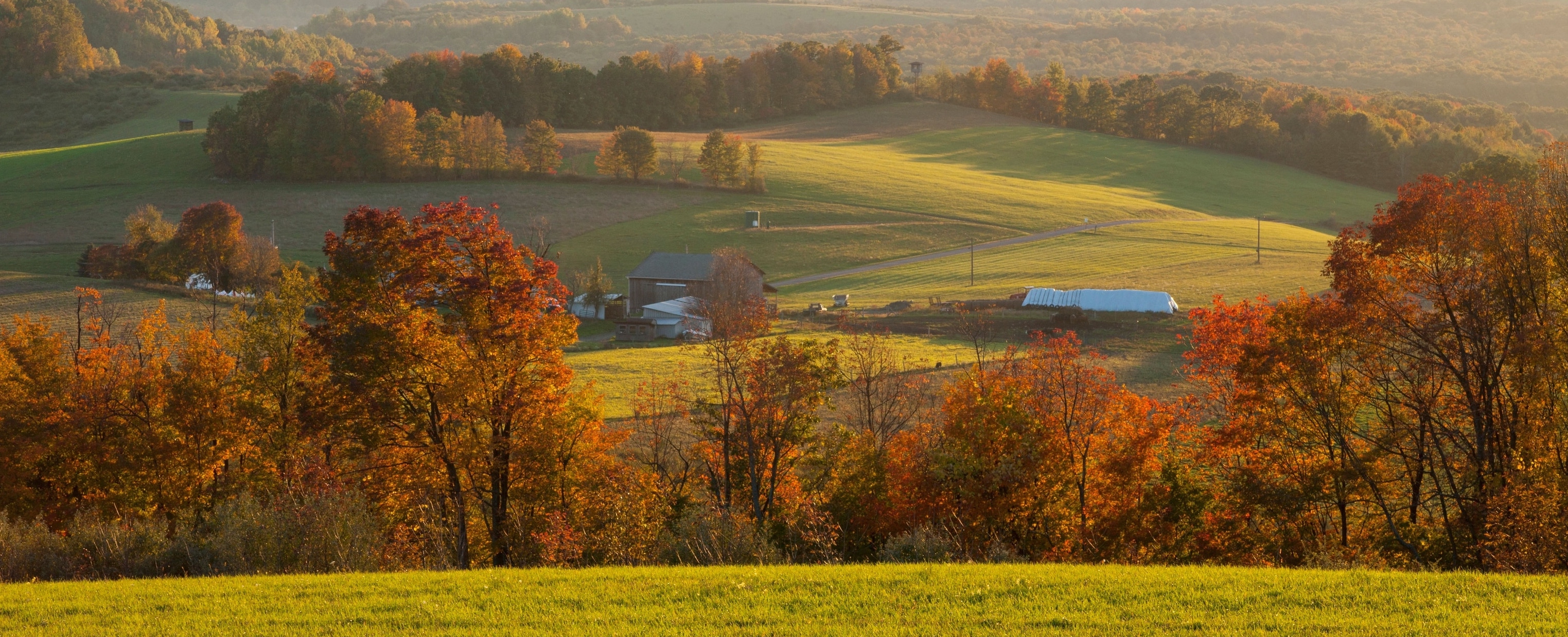 Pennsylvania Assembly MISSION & HISTORY